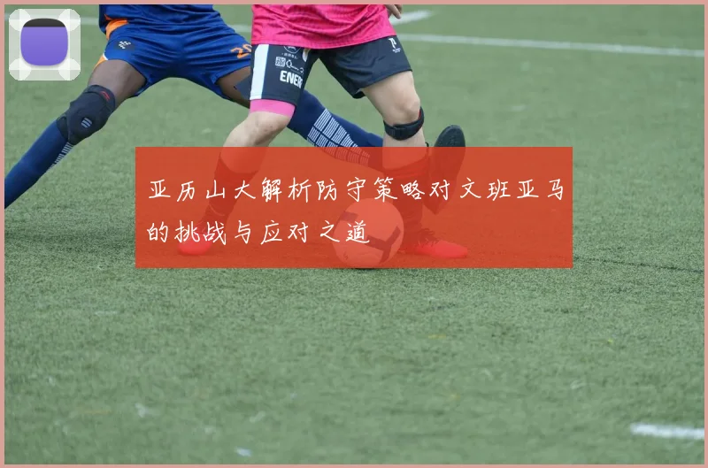 亚历山大解析防守策略对文班亚马的挑战与应对之道
